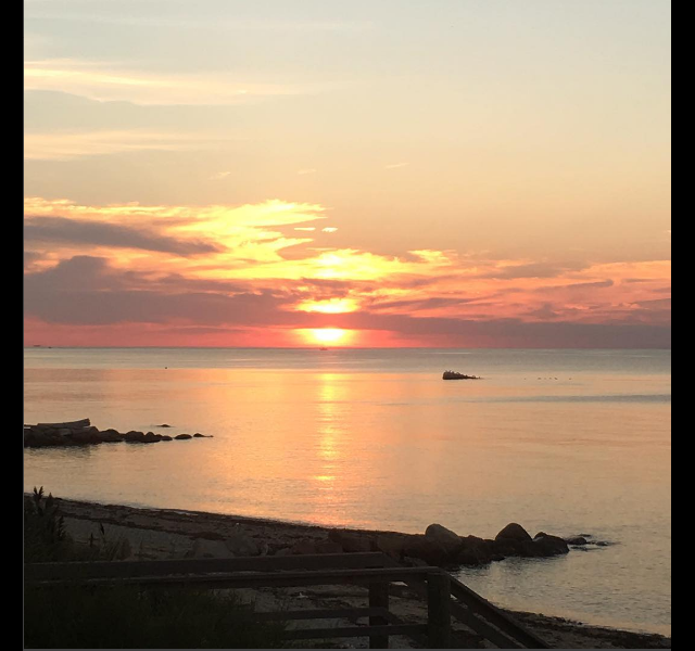 Screen Shot 2016-08-28 at 1.41.37 PM