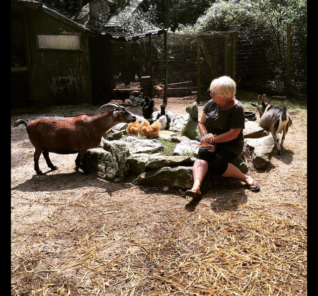 Screen Shot 2016-08-28 at 1.43.15 PM