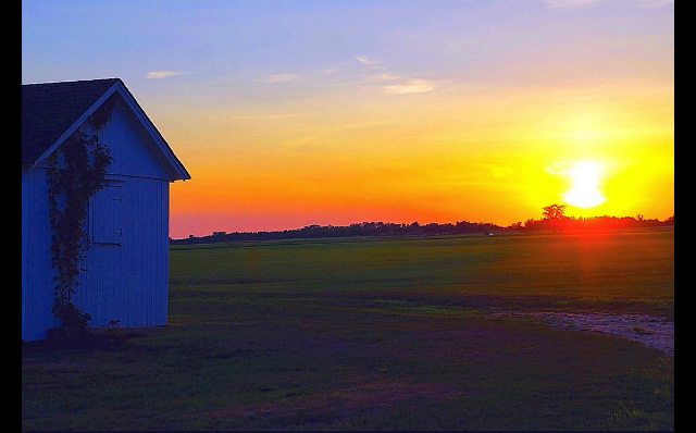 Screen Shot 2016-08-28 at 1.49.04 PM