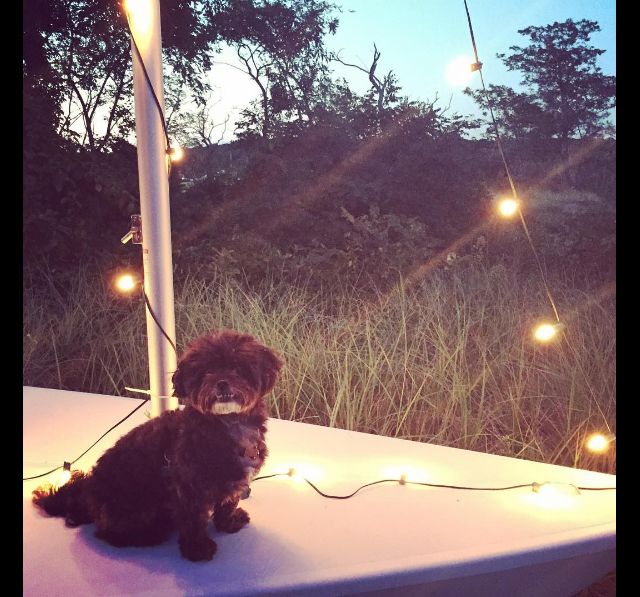 Screen Shot 2016-08-28 at 2.01.45 PM