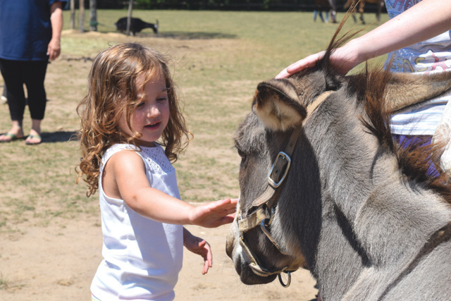 Sophia Blydenburgh, 4, of Miller Place at Spirit's Promise Horse Farm and Rescue Center. (Credit: Vera Chinese)