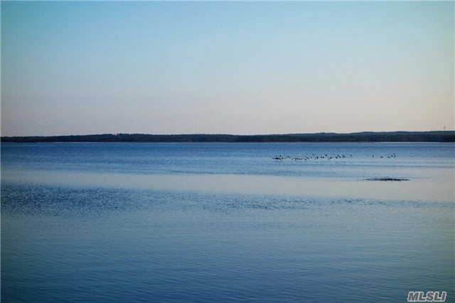 339 Peconic Bay Blvd