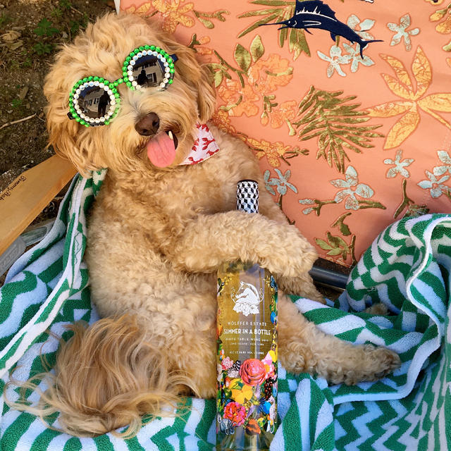 Kody apparently likes Wölffer's