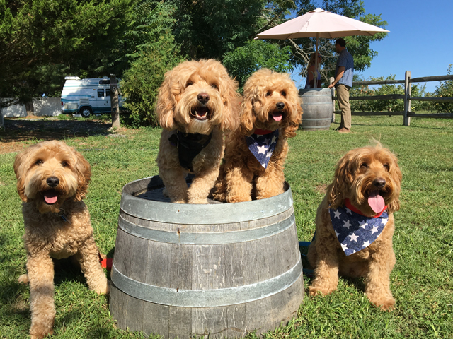 Kody and his buds enjoy a day on the North Fork. (Credit: Kara Foldes courtesy)