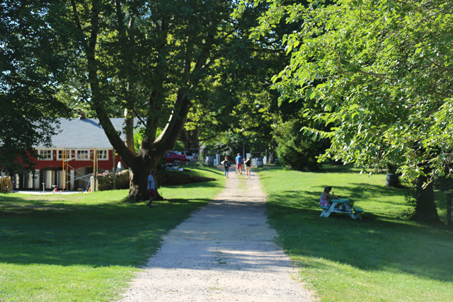 The Old Field VIneyards in Southold. (Credit: Vera Chinese)
