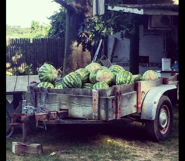 Screen Shot 2016-09-11 at 6.31.16 PM