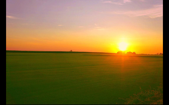 Screen Shot 2016-09-11 at 6.41.53 PM