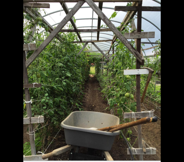 Screen Shot 2016-09-11 at 6.47.27 PM