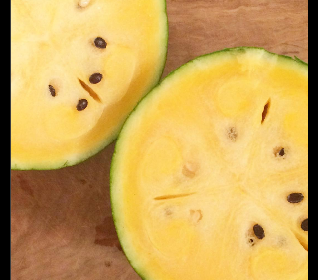 Screen Shot 2016-09-11 at 6.56.10 PM