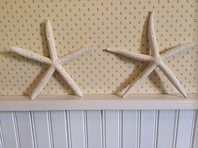 My starfish found a new home in the spare bathroom.