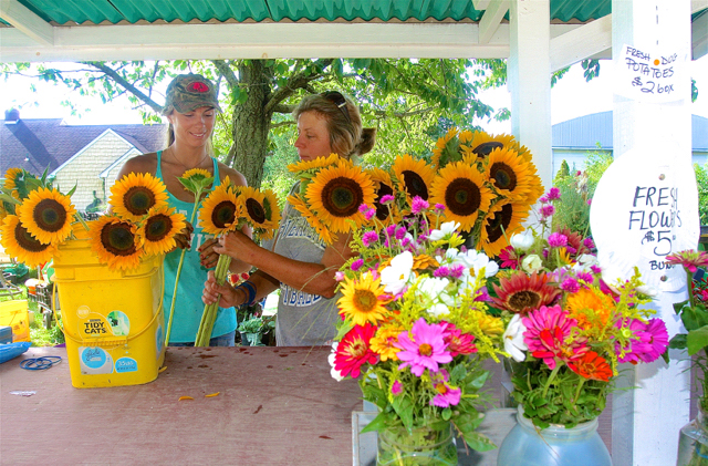 Jackie Zilnicki, 26, and her mother Joanne prepare sunflower bouquets at Edward Zilnicki Farms in Riverhead Friday morning.