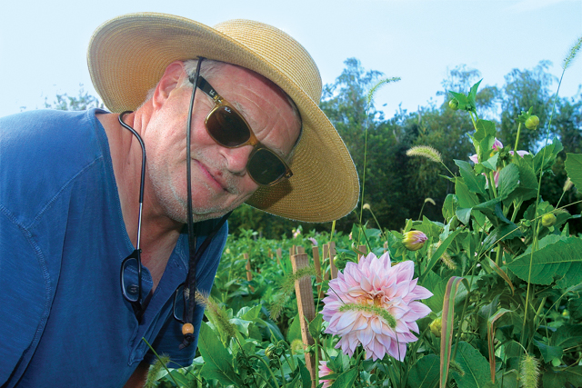 Keith Pierpont in the field of Cafe Au Lait dahlias at Pierpont Blossom Farm.