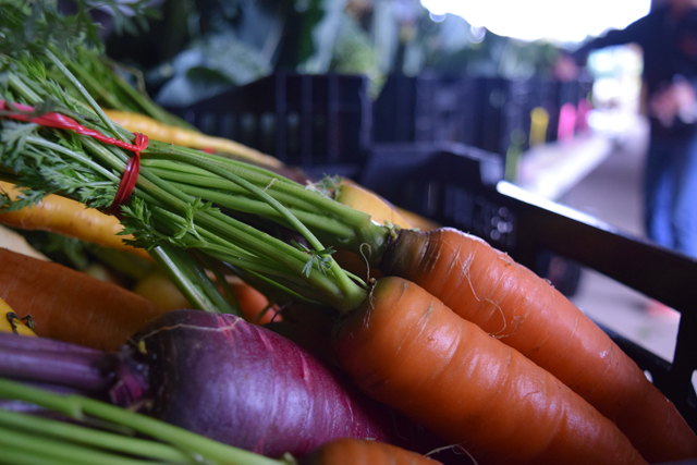 Sang Lee winter CSA carrot