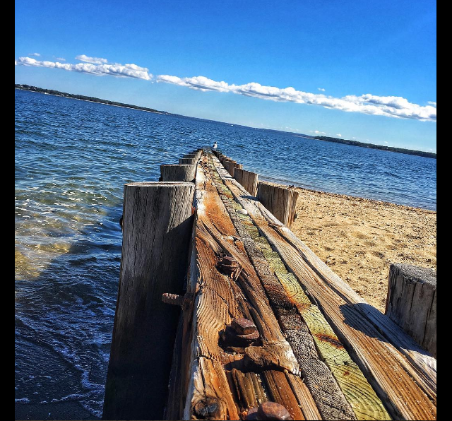 screen-shot-2016-10-16-at-2-52-59-pm