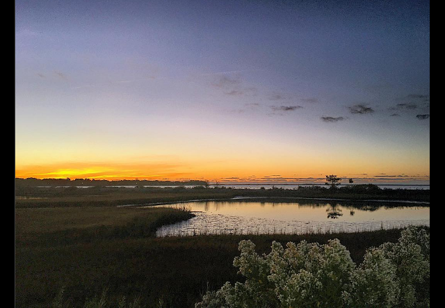 screen-shot-2016-10-16-at-2-54-52-pm