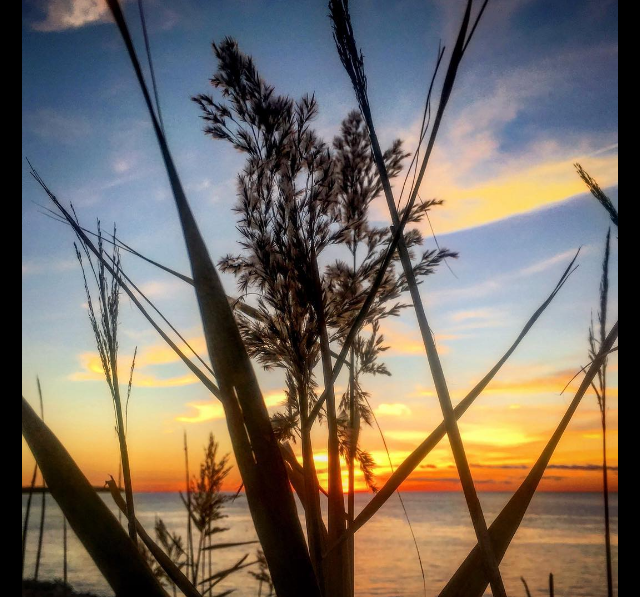 screen-shot-2016-10-16-at-3-01-01-pm