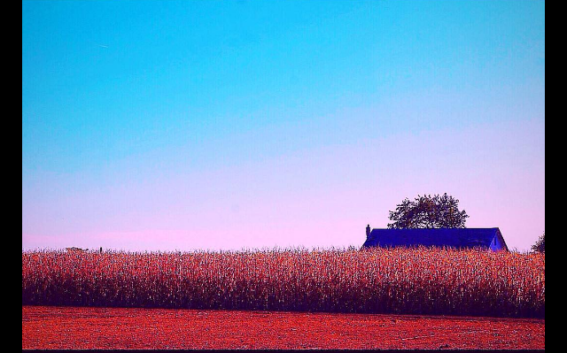 screen-shot-2016-10-16-at-3-02-26-pm