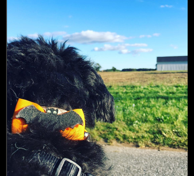 screen-shot-2016-10-16-at-3-10-30-pm