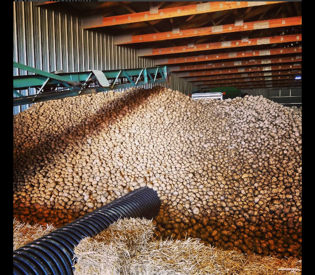 screen-shot-2016-10-16-at-3-21-36-pm