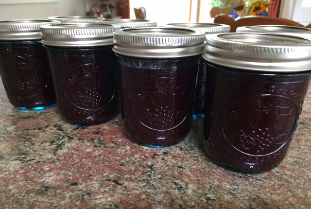 Just jarred beach plum jam