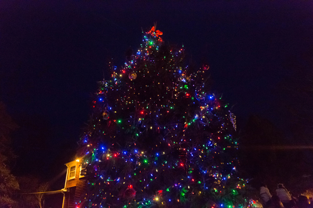 Southold Historical Society tree lighting