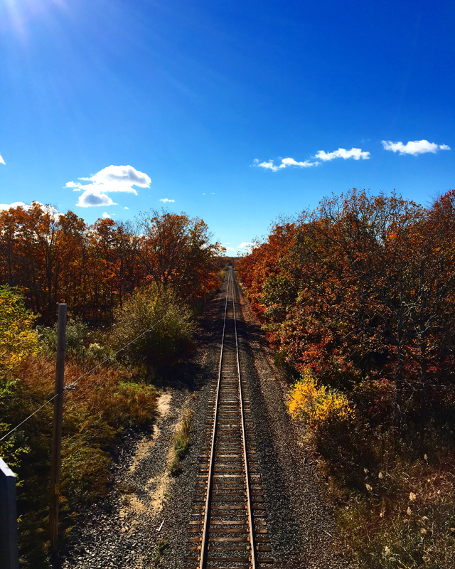 North Fork fall foliage