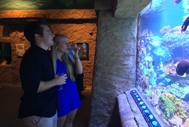 Fish & Sips Long Island Aquarium