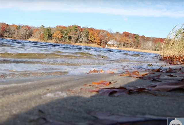 Laurel Lake Preserve