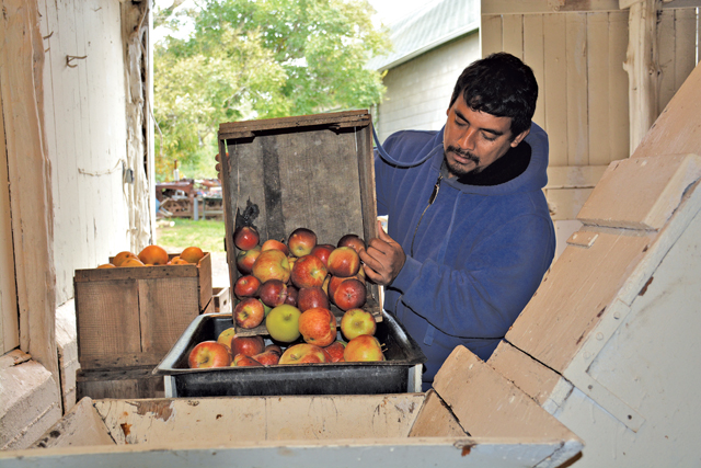 Wickham's Fruit Farm apple press