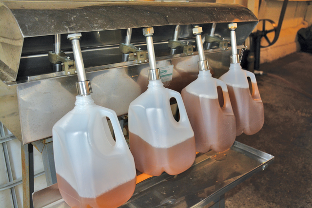 Wickham's apple cider