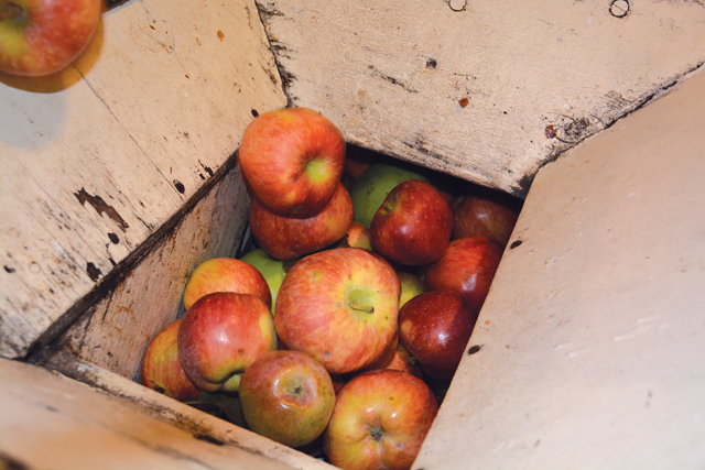 Wickham's apple cider