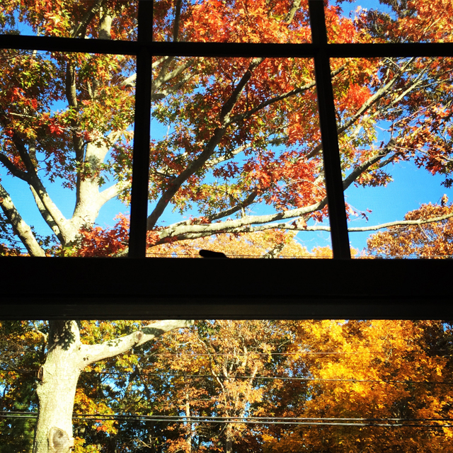 North Fork fall foliage