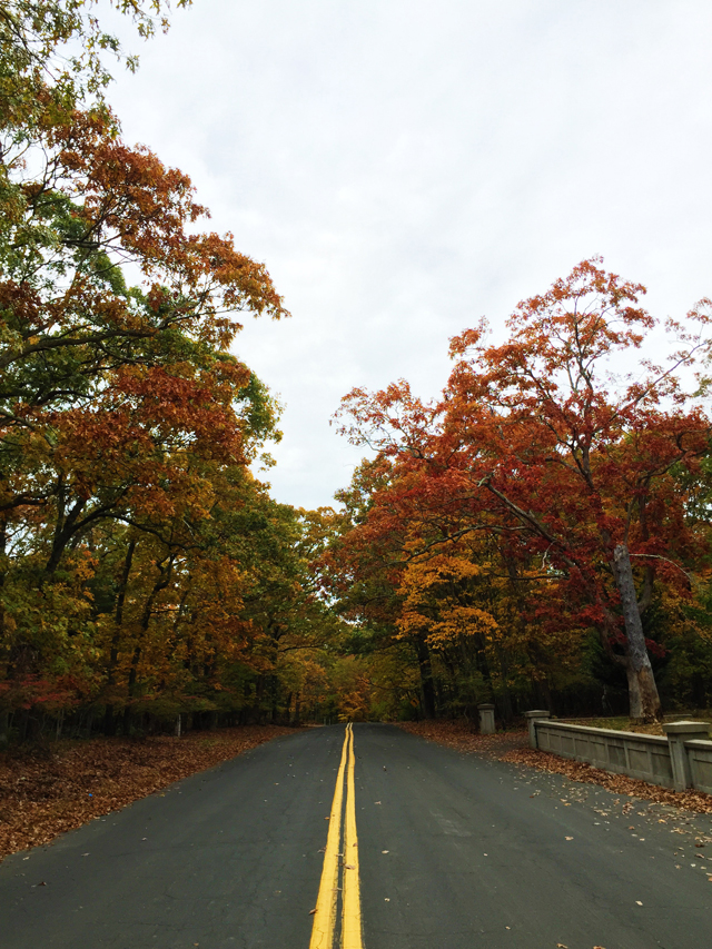 North Fork fall foliage