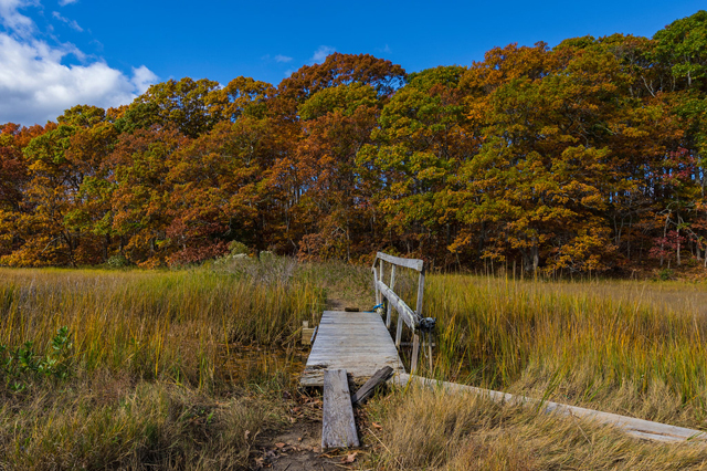 North Fork fall foliage