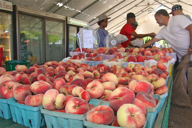 Davis peach Farm Wading River