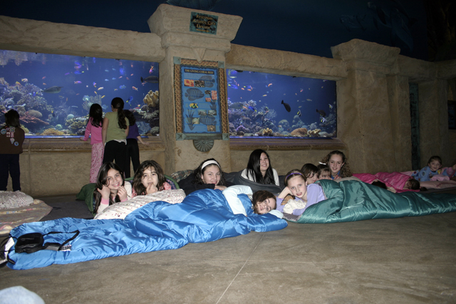 A group of children participate in a sleepover at the Long Island Aquarium. (Credit: Courtesy photo)