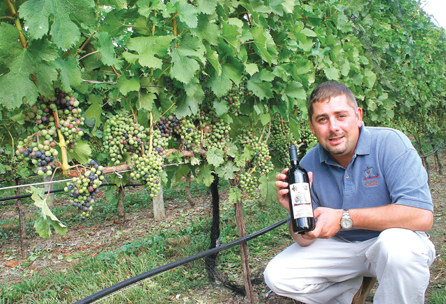 Jason's Vineyard