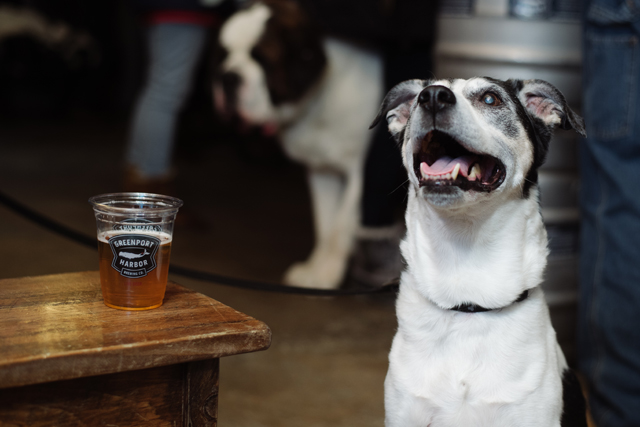 Credit: David Benthal