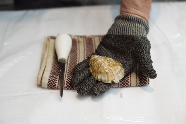 Credit: David Benthal