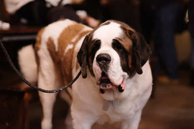 Credit: David Benthal