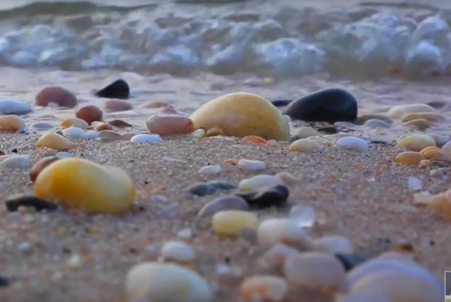 Reeves Beach Riverhead