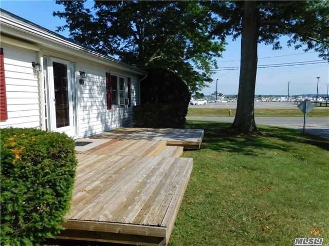 10-holly-tree-ln-image