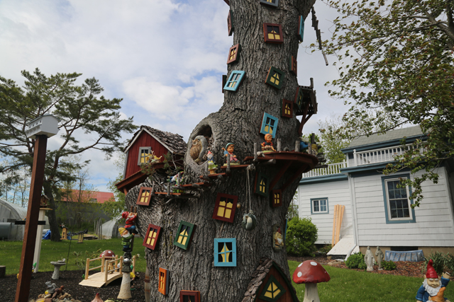 gnome tree