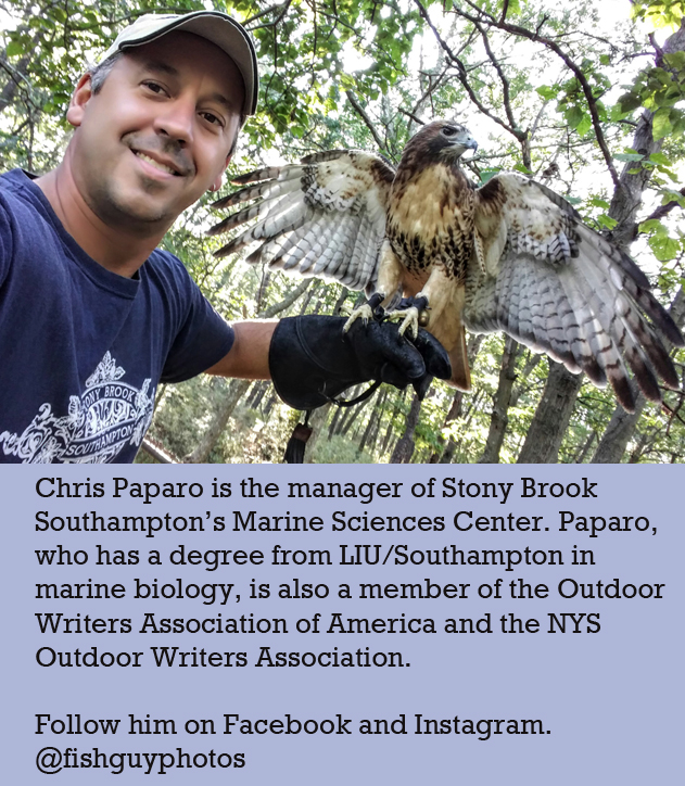 Paparo bio official