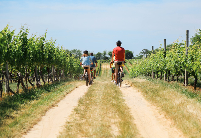 wine tour