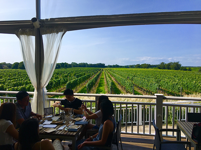 Bedell Cellars